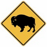 buffalos-warning-sign-america