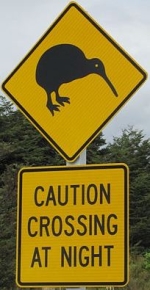 kiwi-zone-at-night-sign-nz