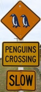 penguin-crossing-sign-nz