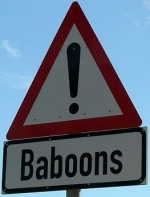 baboons-warning-sign-africa