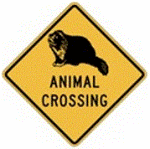badger-crossing-sign-america