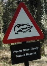 badger-crossing-sign-uk