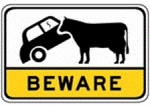 beware-of-cows-sign-australia