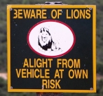 beware-of-lions-sign-africa