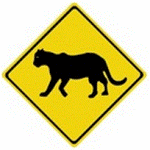 beware-of-panthers-sign-america