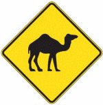 camels-crossing-ahead-sign-australia