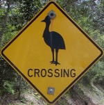 cassowary-crossing-sign