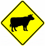 cattle-crossing-sign-nz