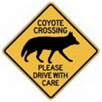 cayote-crossing-sign-america