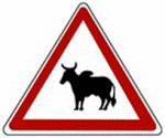 cows-warning-sign-africa