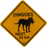 dingoes-crossing-sign-australia