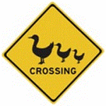ducks-xing-sign-australia