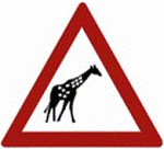 giraffes-warning-sign-africa