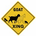 goat-crossing-sign-america