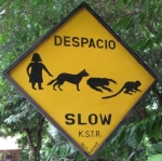 human-dog-sloth-monkey-crossing-costa-rica