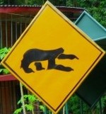 sloth-crossing-sign-costa-rica