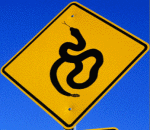 snake-crossing-arizona-america