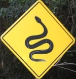 snake-crossing-sign-guatemala