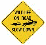wildlife-on-road-sign-america