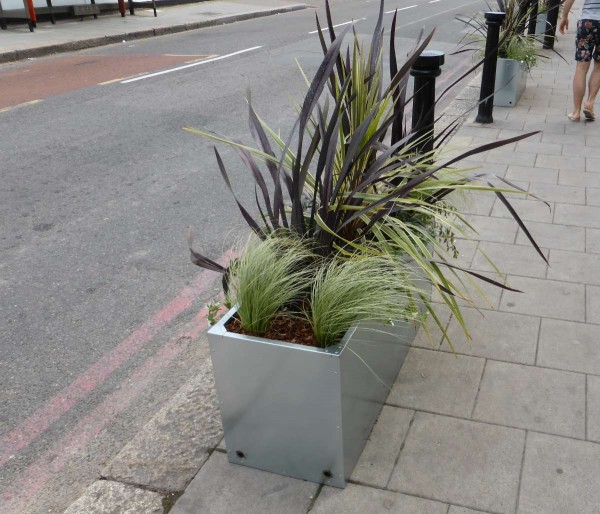 planter box in Streatham, London