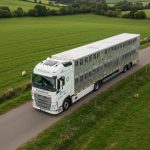 Livestock Transport Rules UK: A Complete Guide to Animal Transportation Requirements
